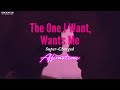 The One I Want Wants Me - Connect to the One You Love - Affirmations to Repeat