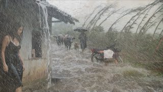 Захватывающий, но ужасающий вид! Дома разрушены, все мероприятия остановлены из-за проливных дождей