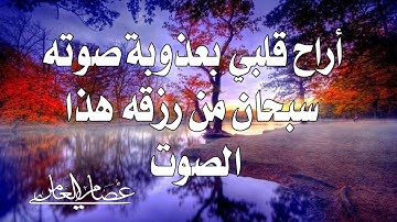 تلاوة رمضانية بصوت القارئ عصام العامري سورة النبأ والنازعات