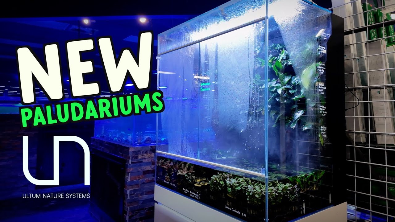 *NEW* UNS FORESTA INTEGRATED PALUDARIUM & SALTWATER MINERAL TIPS