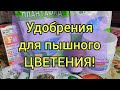 Пришла посылка//Первый шаг к закладке опыта!