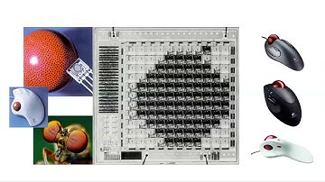 tinyML Neuromorphic Forum - Applications Session