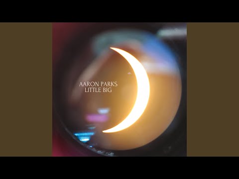 Aaron Parks - Small Planet