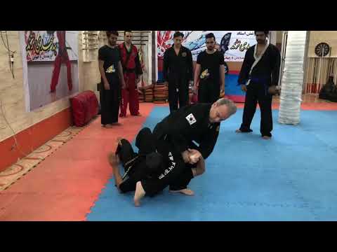 Global Hapkido Foundation G M Mahdi Nazhand - YouTube