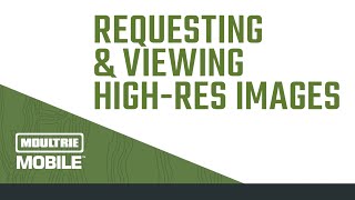 How To Download High Resolution Images With Moultrie Mobile screenshot 5