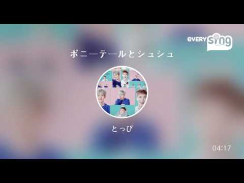 [everysing] ポニーテールとシュシュ