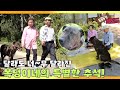 [TV 동물농장 레전드] ’노부부와 복덩이의 너는 내 운명♥’ 풀버전 다시보기 I TV동물농장 (Animal Farm) | SBS Story