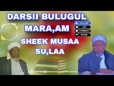 Sheek Mussa Su Aalaa