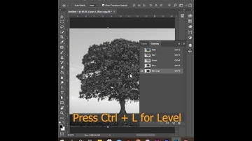 remove tree background using channels in photoshop | Channel in photoshop #shorts