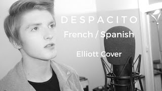 (French/Spanish Version) LUIS FONSI - Despacito ft. Daddy Yankee - Elliott Cover Resimi