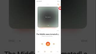 How to add lyrics in Oppo music player (using app LRC Generator) screenshot 4