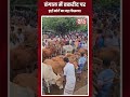 बंगाल में पशु बली पर हाई कोर्ट सख्त! #calcuttahighcourt #bakrid2026 #highcourtverdict #animalwelfare