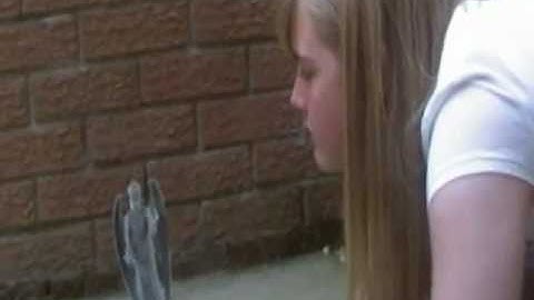 Blink- Chameleon Circuit- music video