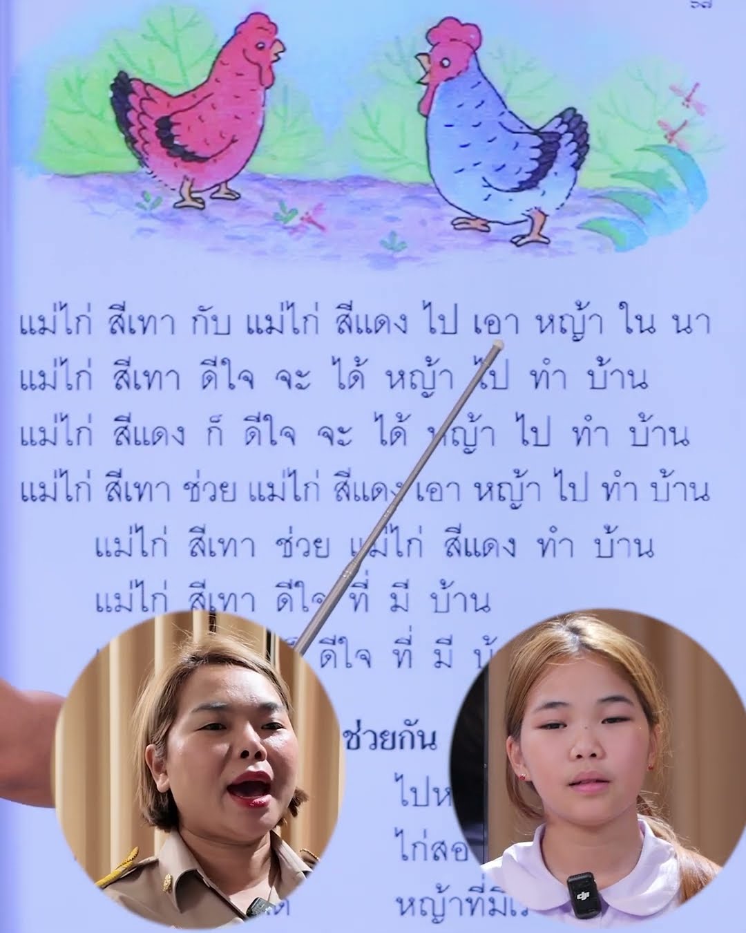 บ้านแม่ไก่ | ครูนกเล็ก