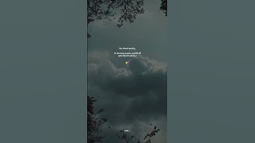 Daily Quote Trending Video 🔥 | Sinhala Motivation | Life Lessons in 30 Seconds