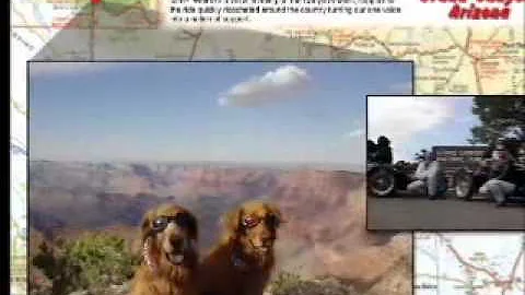 Hogs For Dogs - Anything is Possible