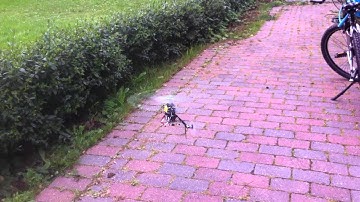 T-rex 250 Pro DFC - Maiden flight and crash