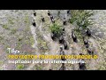 Proyectos Productivos: Modelo Inspirador para la Reforma Agraria - TvAgro por Juan Gonzalo Angel