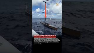 Engineering Behind This Autonomous Saildrone