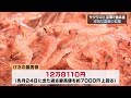 サクラエビ漁　令和になっても苦境　漁獲量少なく価格高騰