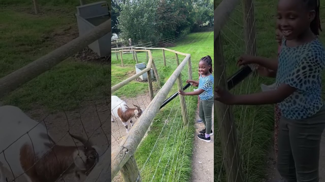 Newham Grange Farm