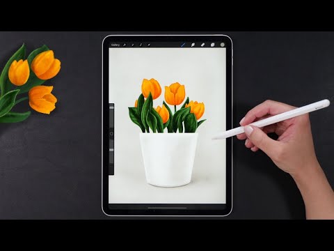 🌷🌷 Procreate Full Process Tutorial - YouTube
