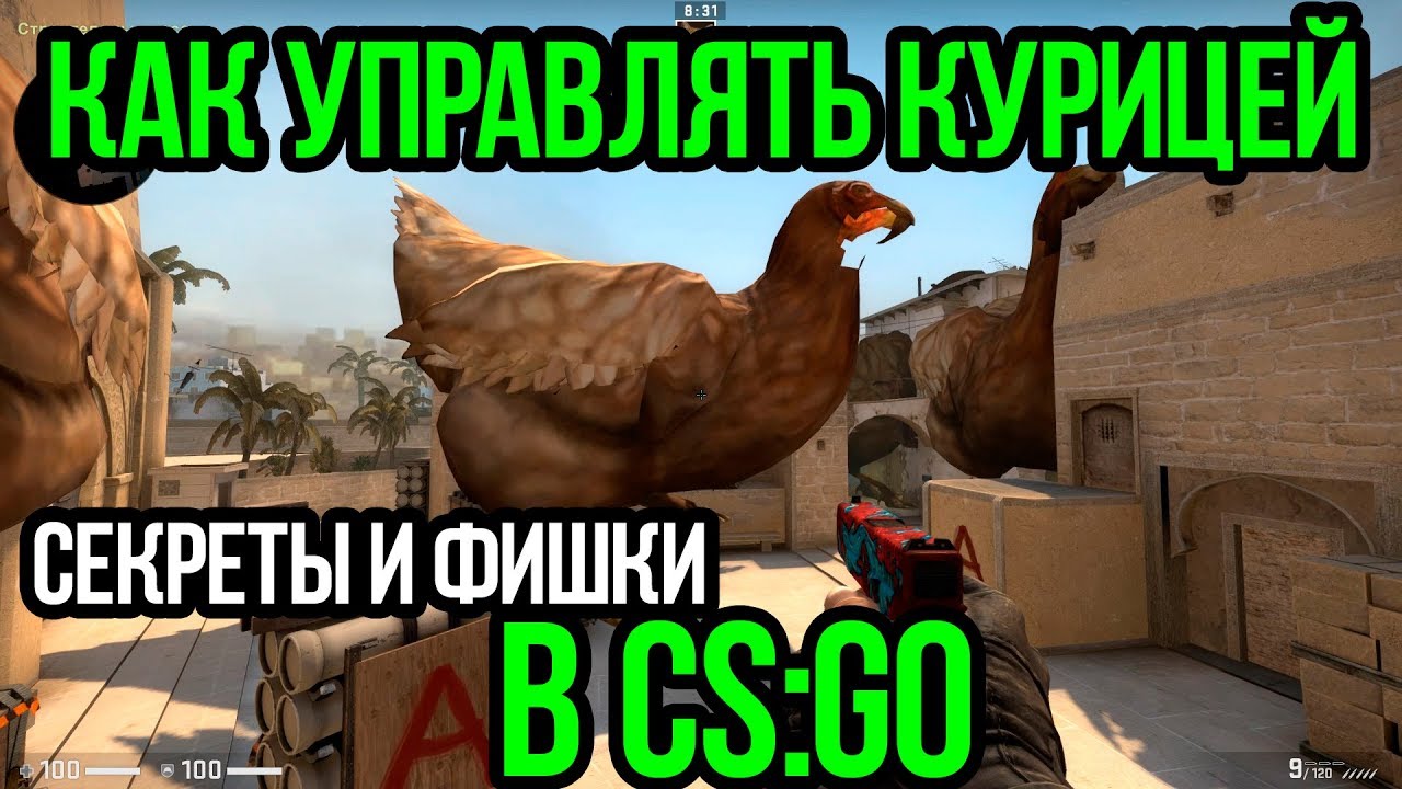 КАК УПРАВЛЯТЬ КУРИЦЕЙ В КСГО? СЕКРЕТЫ И ФИШКИ CSGO. ПОЛНЫЙ ГАЙД ПО ...