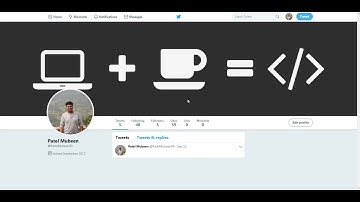 CSS Twitter Logo animation
