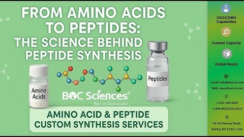 From Amino Acids to Peptides: The Science Behind Peptide Synthesis — BOC Sciences Guide