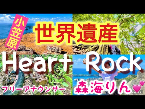 【小笠原諸島】世界遺産 人気No1の絶景 ハートロックガイドツアー 固有種と戦跡の謎が今明らかに・・・！