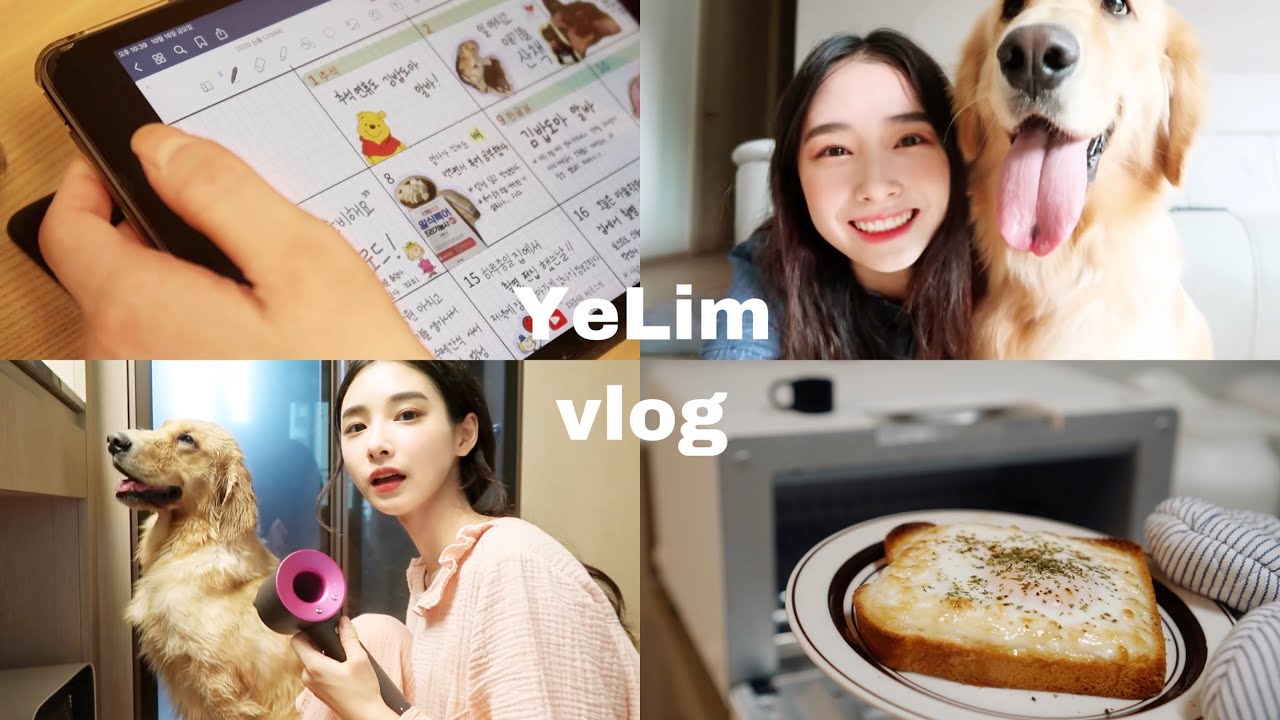 SUB) YeLim vlog 하루일기 🏠💌 (#반려견 #요가 #코스트코 #빨래 #청소 #칵테일 #조주기능사 #대창전골 #제로원푸드 #다이어리 #토스트)