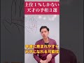 上位１％しかない天才の可能性ありな手相３選 #shorts