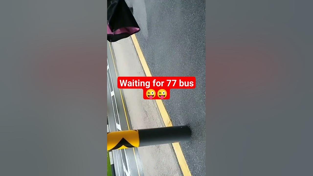 77 bus 😜 YouTube