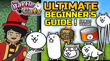 The Battle Cats - The ULTIMATE Beginner