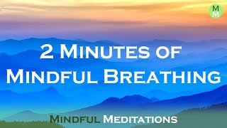 Pause For 2 Minutes - Guided Meditation