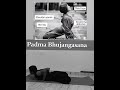 Padma bhujangasana save this video then try this pose🫵🏻& #followme #subscribe 💥💯