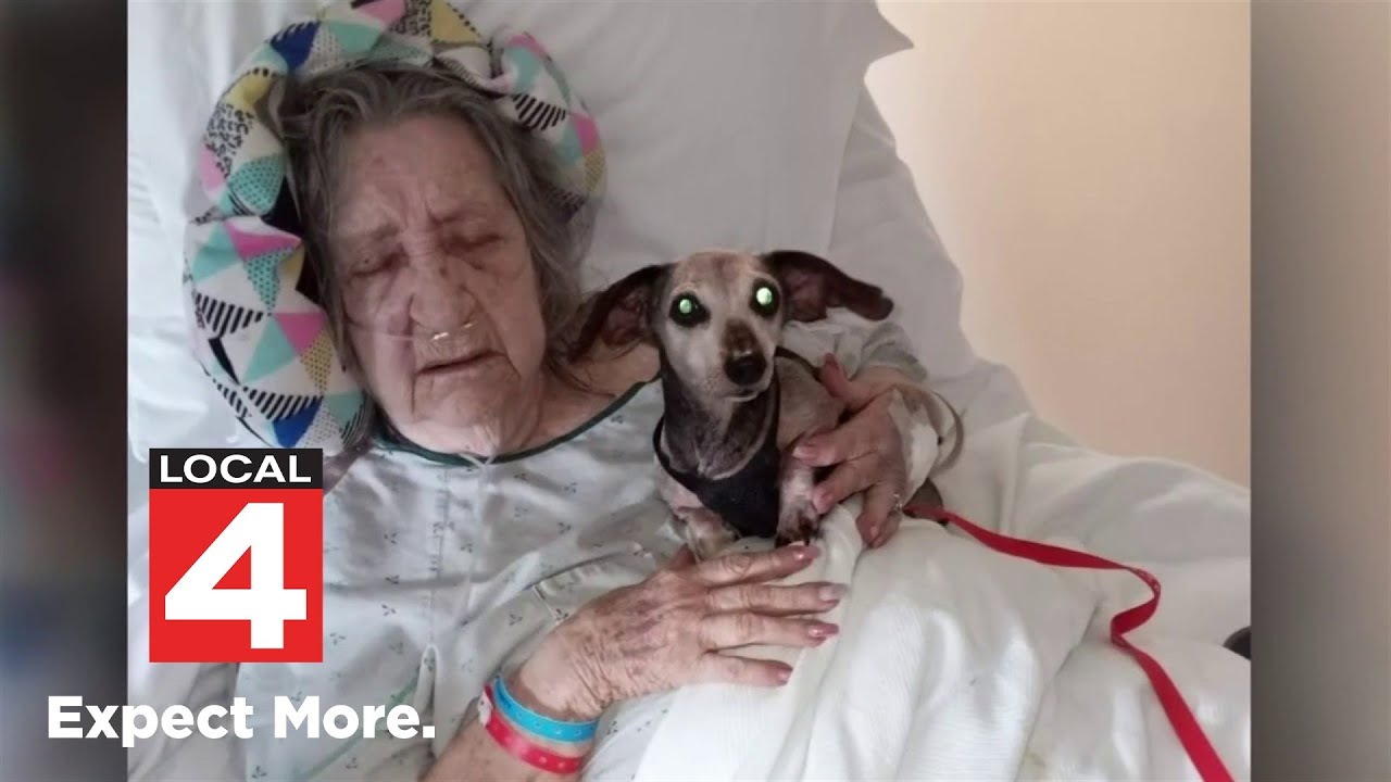 Metro Detroit Family Faces Nearly 1K Bill Due To Cremation Paperwork metro-detroit-family-faces-nearly-1k-bill-due-to-cremation-paperwork