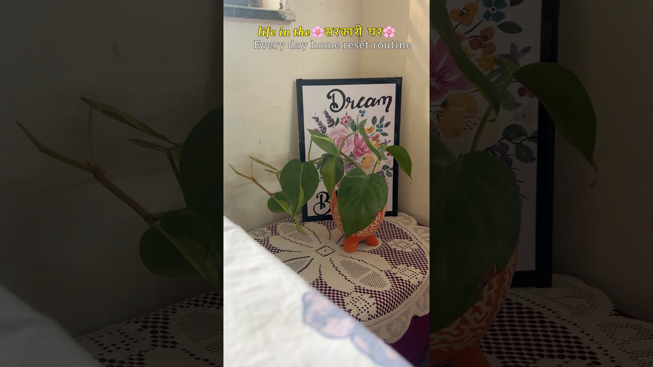 Weekly home reset routine 