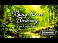 Rainy Green Forest Piano - Birds & Gentle Rain for Deep Relaxation- 🌿Green Forest Series 3 #relaxing