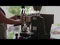 Top Lounge and Chillout  - Il Caffe' Italiano Milano - non stop music