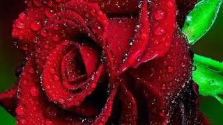 Mardi̇nli̇ Seyfetti̇n Dağ