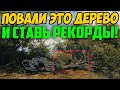 ПОВАЛИ ЭТО ДЕРЕВО, БУДЕТ КРУТАЯ ПОЗИЦИЯ ДЛЯ РЕКОРДОВ ДАМАГА!