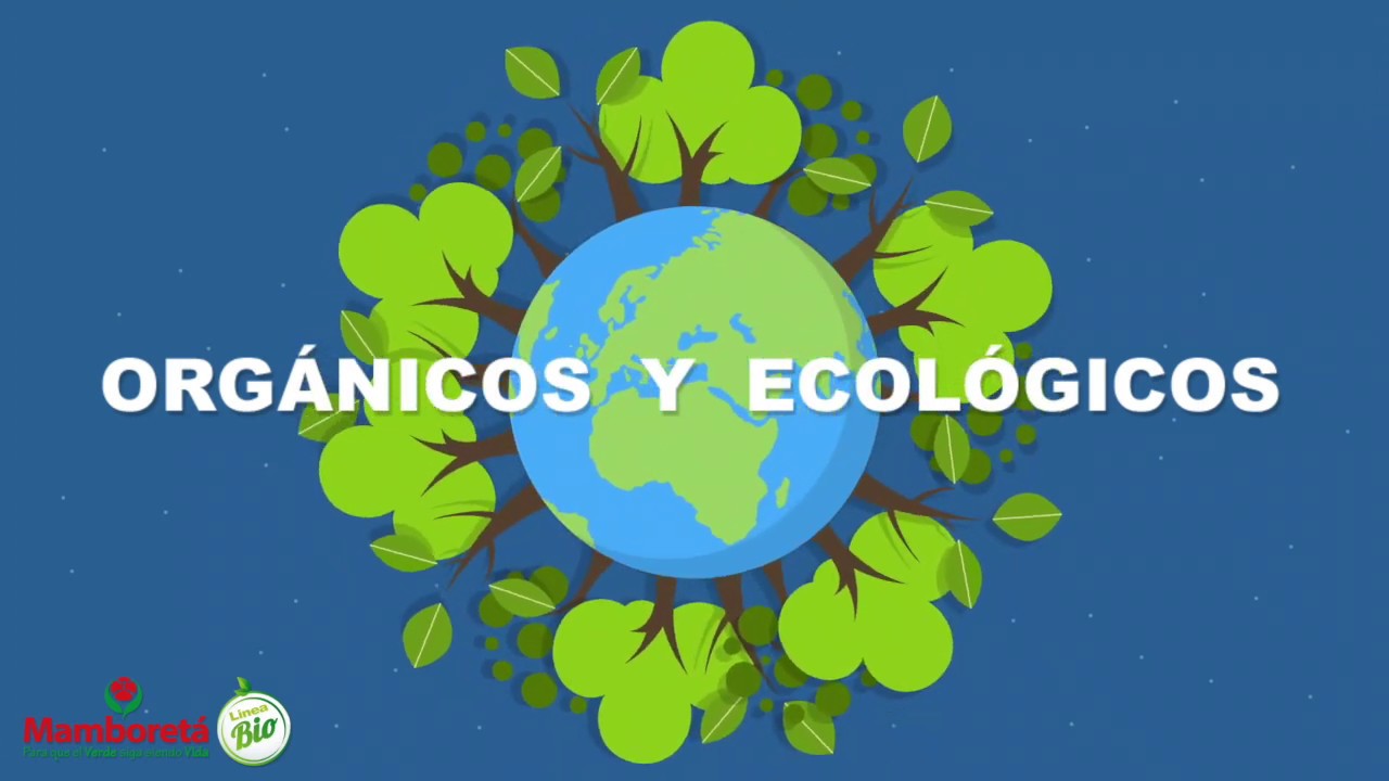 OIL 85 E | Aplicación