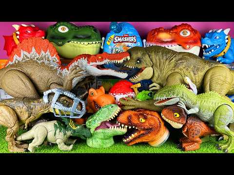 Satisfying ASMR Unboxing Jurassic World Dinosaur T-rex Heads D-rex Spinosaurus Triceratops ZURU Eggs