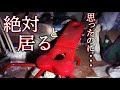 誰も知らない廃ホテルに行ってみたら...【無名の廃ホテル】