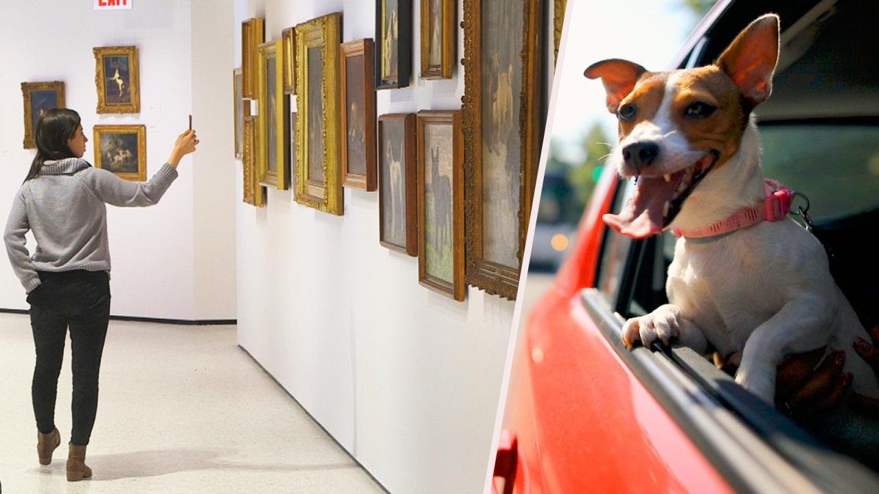Woof! Museum of the Dog Returns to NYC YouTube