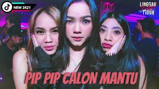 DJ PIP PIP CALON MANTU JUNGLE DUTCH 2021 #LINGGAUBELUMTIDUR