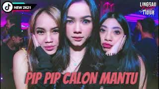 DJ PIP PIP CALON MANTU JUNGLE DUTCH 2021 #LINGGAUBELUMTIDUR