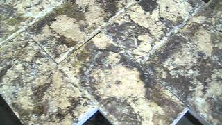 MVI_2276.AVI