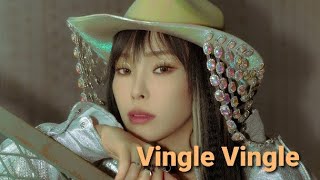 Heize(헤이즈) - 'VingleVingle (Prod. R.Tar)' lyrics